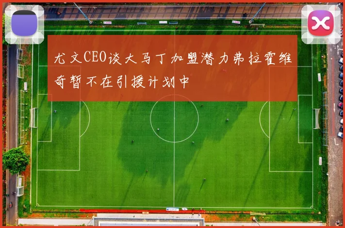 尤文CEO谈大马丁加盟潜力弗拉霍维奇暂不在引援计划中
