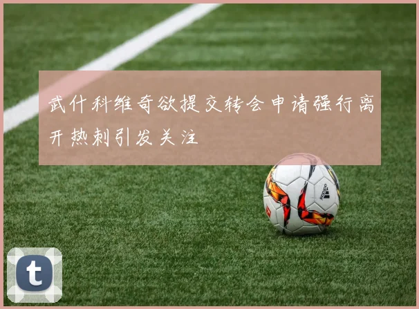 武什科维奇欲提交转会申请强行离开热刺引发关注