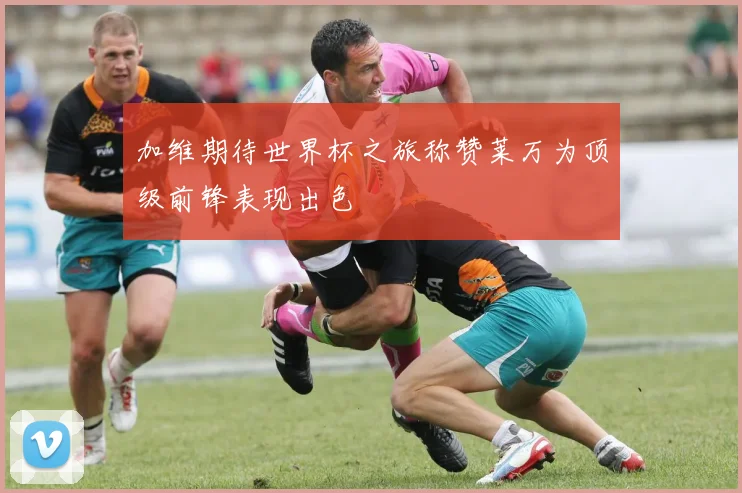 加维期待世界杯之旅称赞莱万为顶级前锋表现出色